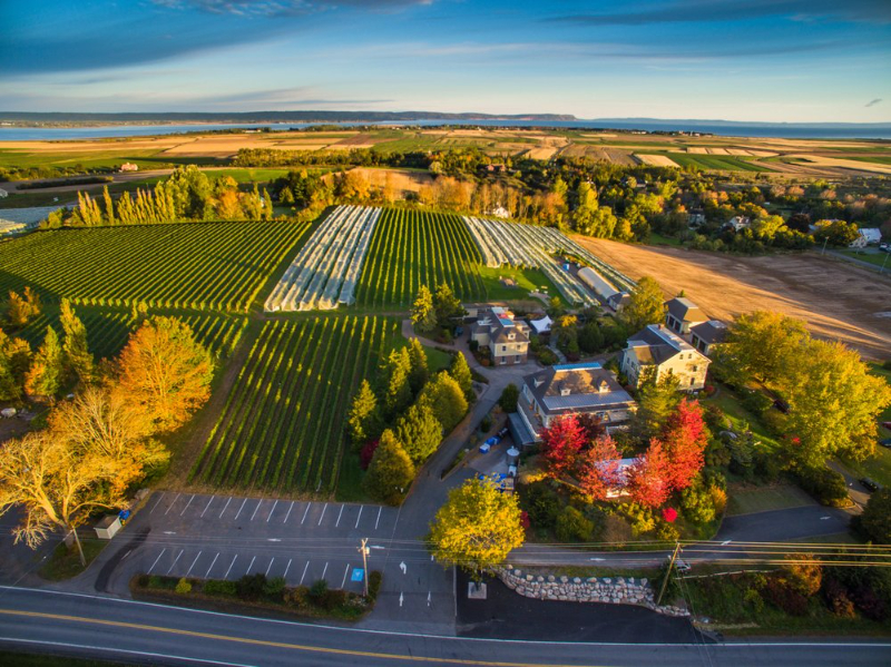 Krajobraz Grand Pré - Grand Pré | Secret World Trip Planner