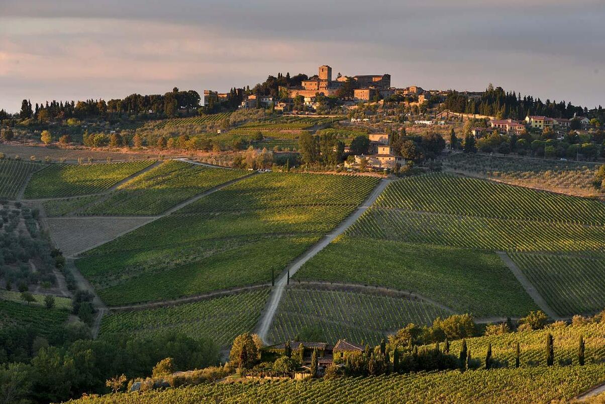 Tra le incantevoli colline toscane: Panzano in Chianti - Panzano In Chianti | Secret World Trip Planner
