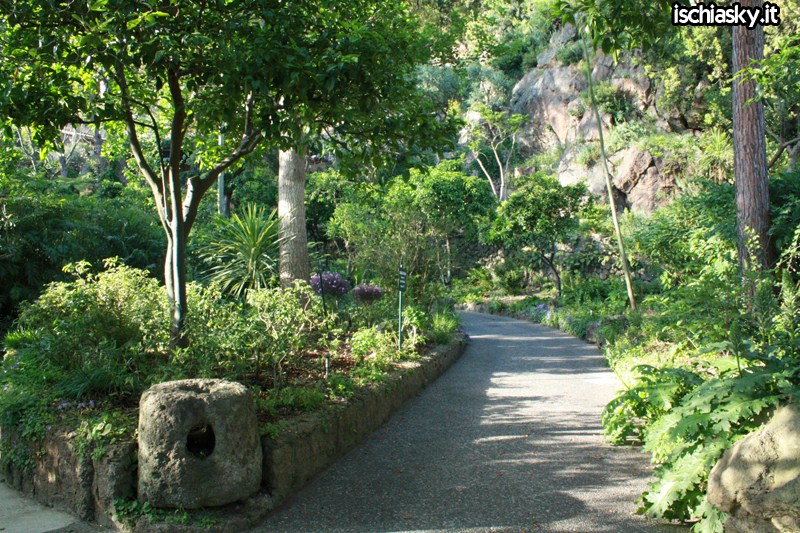 Ischia and La mortella gardens - Forio | Secret World Trip Planner