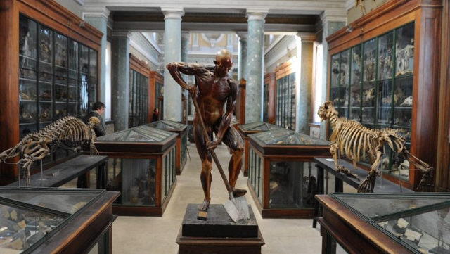 Montpellier Anatomy Museum - Montpellier | Secret World Trip Planner