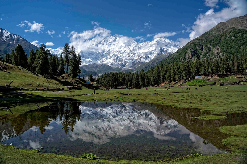 Fairy Meadows National Park, Pakistan - Fairy Meadows | Secret World Trip Planner