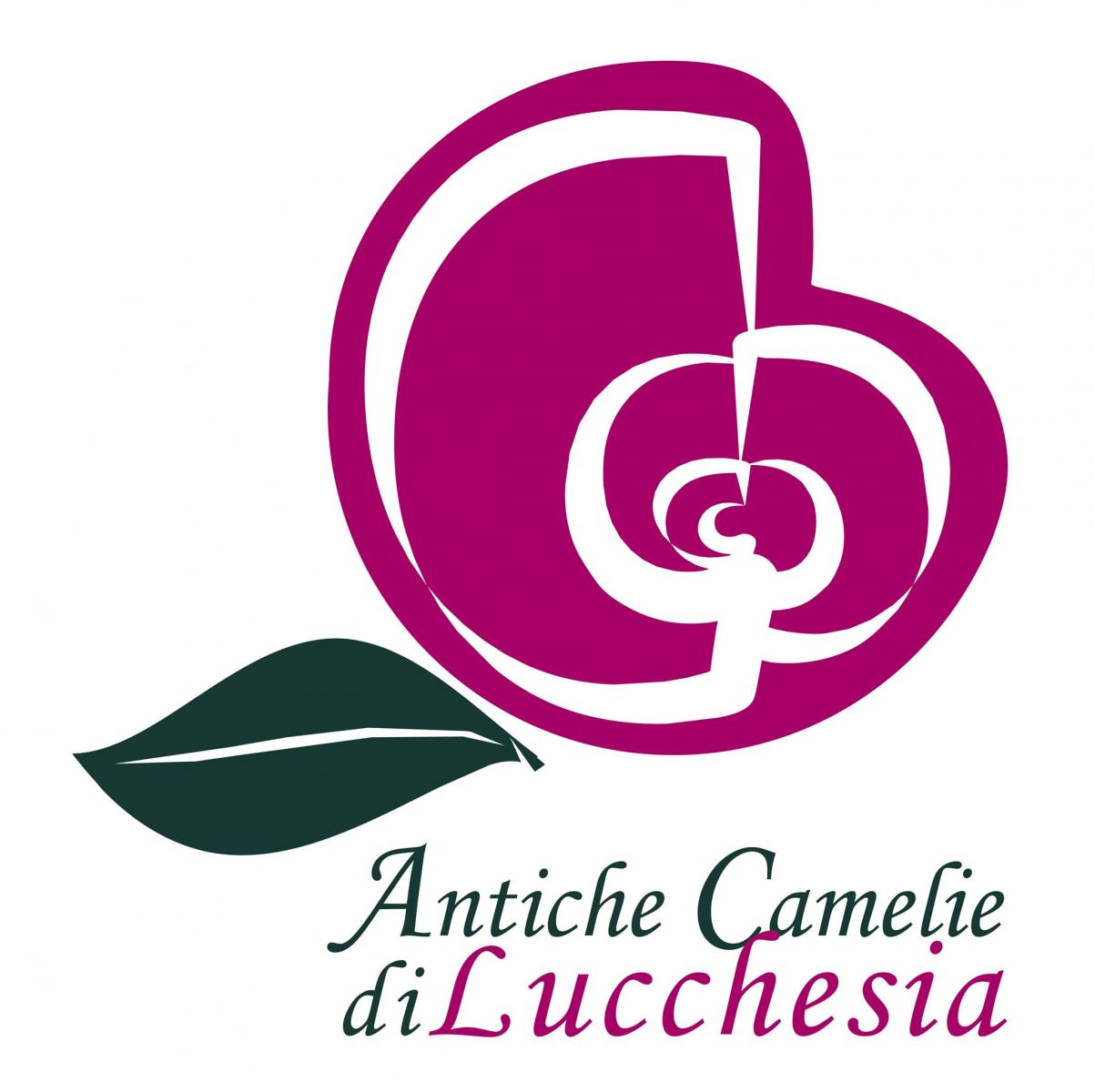 Antica Chiusa Borrini tra tè e bellissime camelie - Capannori | Secret World Trip Planner