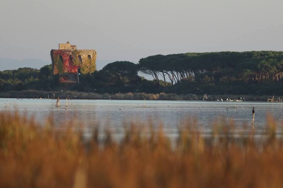 The Lake Burano Reserve - 58011 Capalbio GR | Secret World Trip Planner