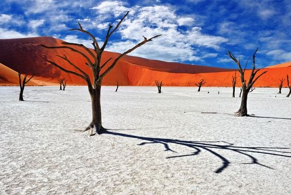 Deadvlei in the Namib-Naukluft Park in Namibia — Sossusvlei