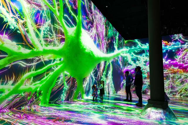 ARTECHOUSE: Waar kunst en verbeelding elkaar ontmoeten - New York | Secret World Trip Planner