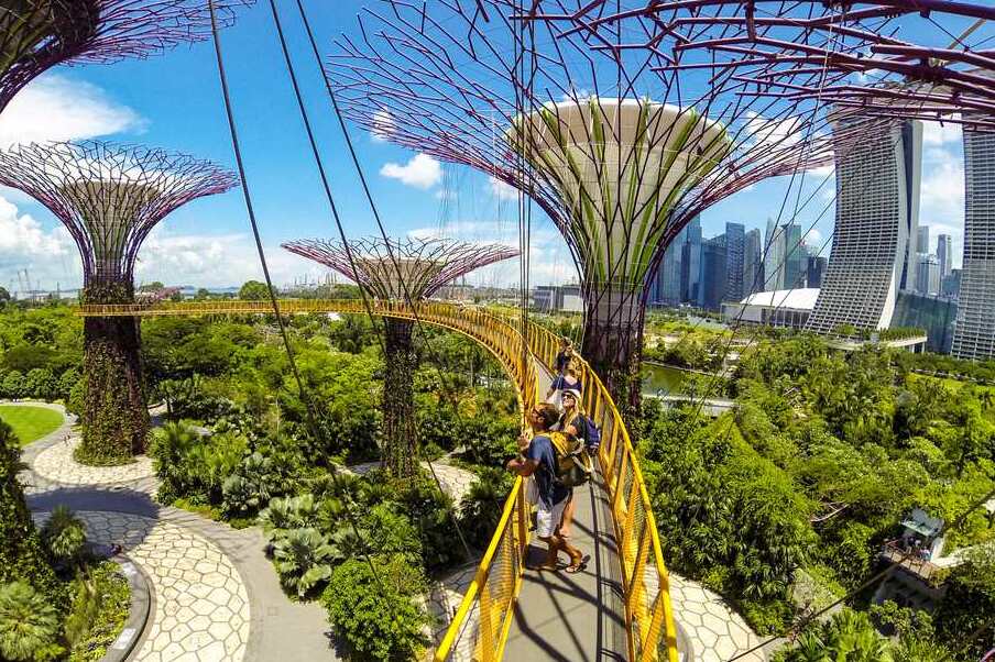 新加坡植物园 — Singapore