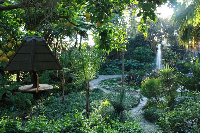 イスキアと庭園ラ-モルテッラ - Forio | Secret World Trip Planner