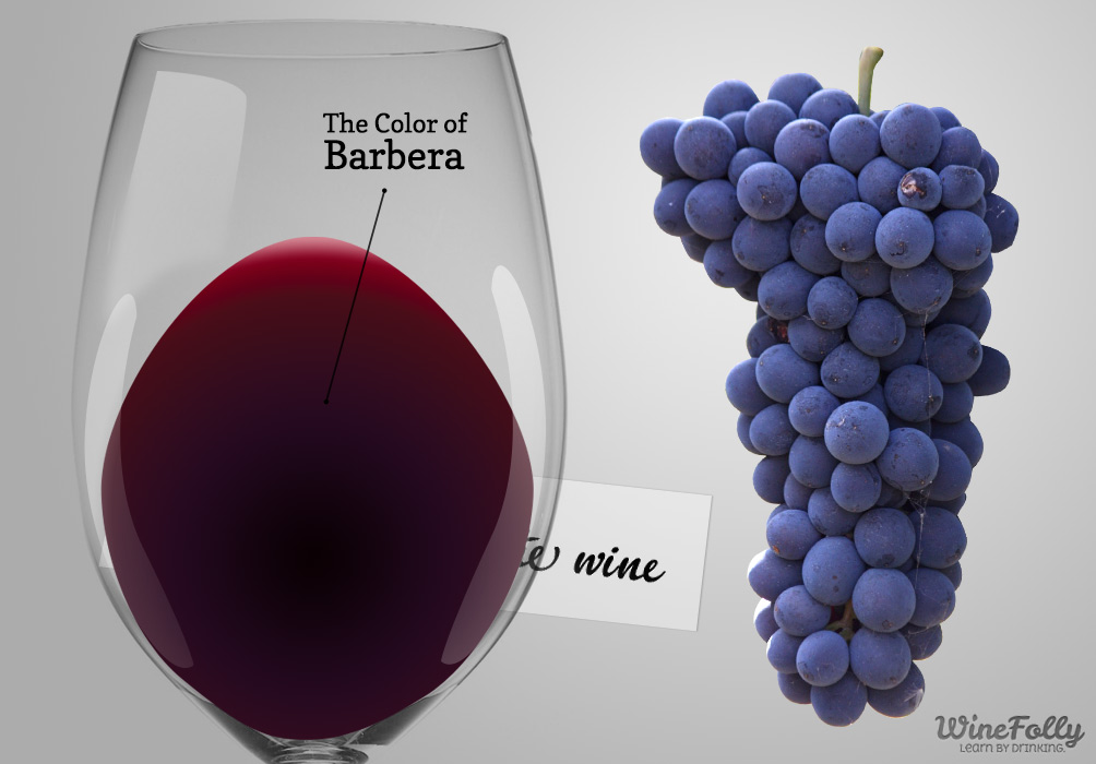 Top Wines of the World | Barbera d'Alba doc. - 12051 Alba CN | Secret World Trip Planner