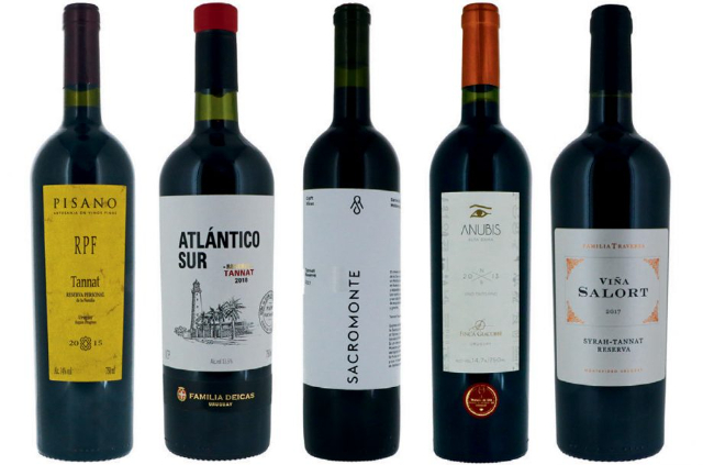Desfrute de um bom Vinho! - Montevideo Department | Secret World Trip Planner