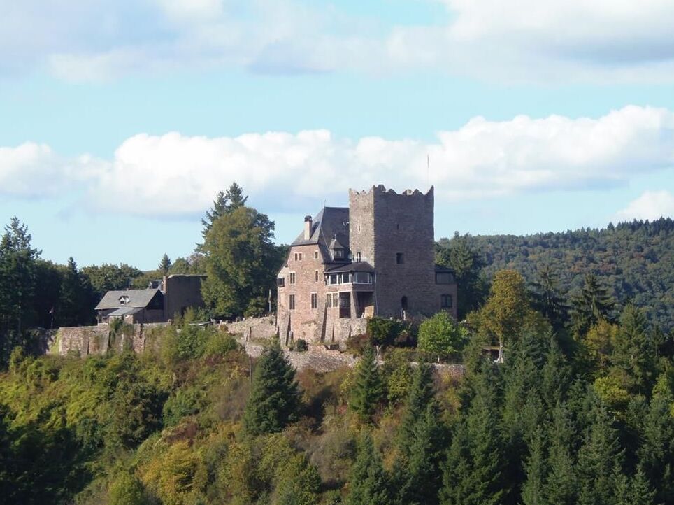 Burg Arras in Alf - Alf | Secret World Trip Planner