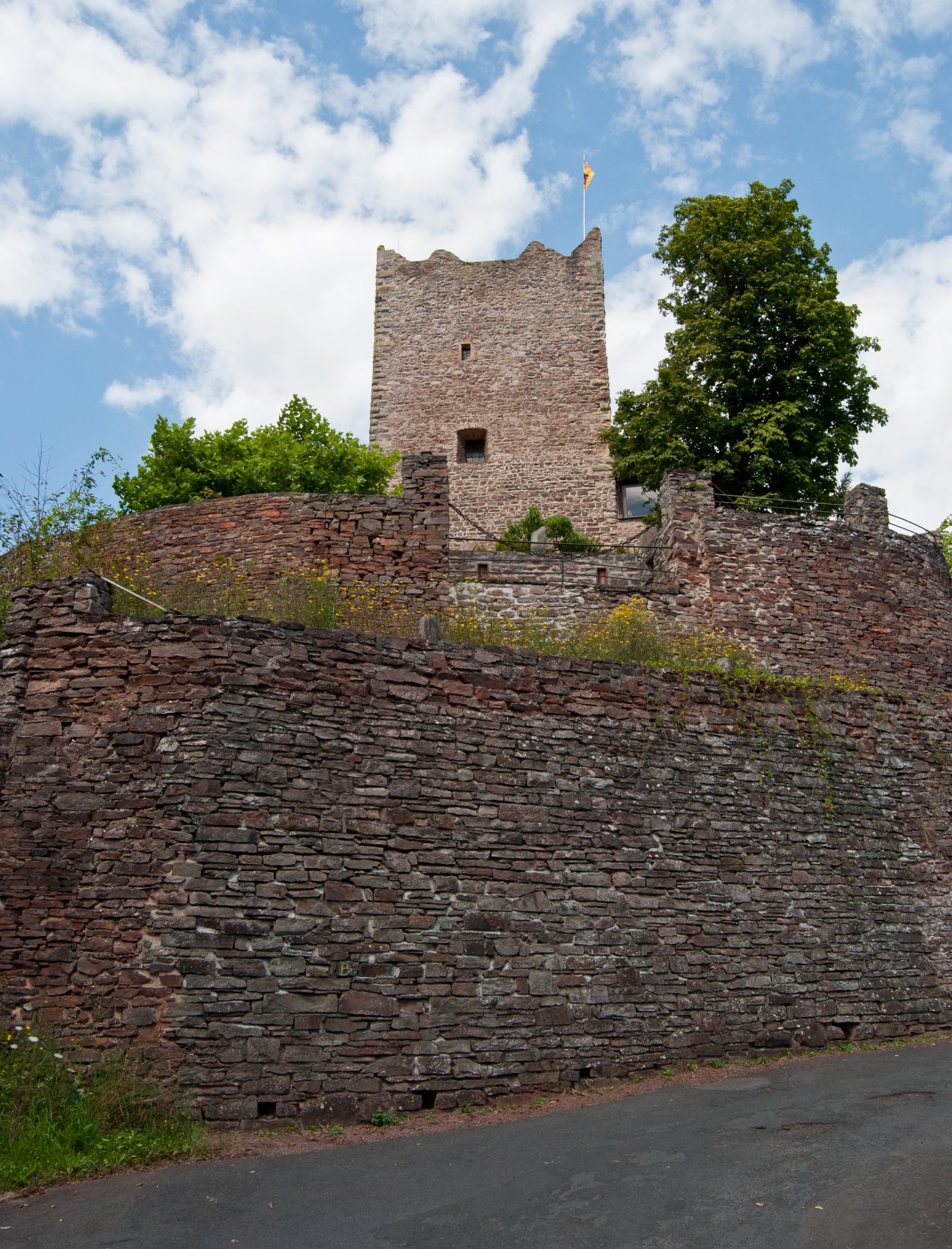 Burg Arras in Alf - Alf | Secret World Trip Planner