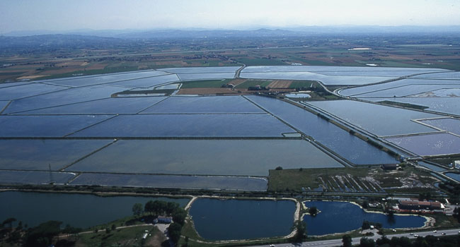 Het natuurreservaat Salina di Cervia - 61 | Secret World Trip Planner
