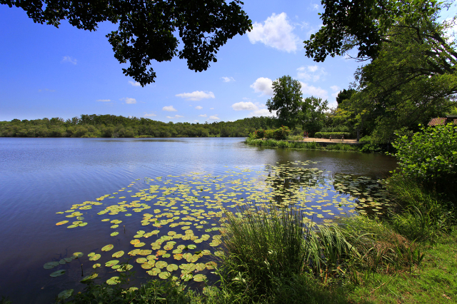 Le lac d'Aureilhan et Winston Churchill - Aureilhan | Secret World Trip Planner