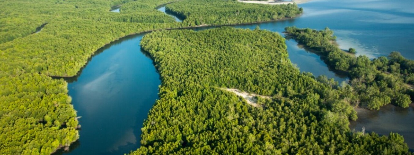 Godrej and the Largest mangrove belt in Mumbai - Guwahati | Secret World Trip Planner
