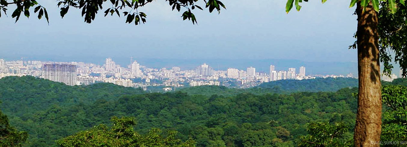 Sanjay Gandhi National Park - Mumbai | Secret World Trip Planner