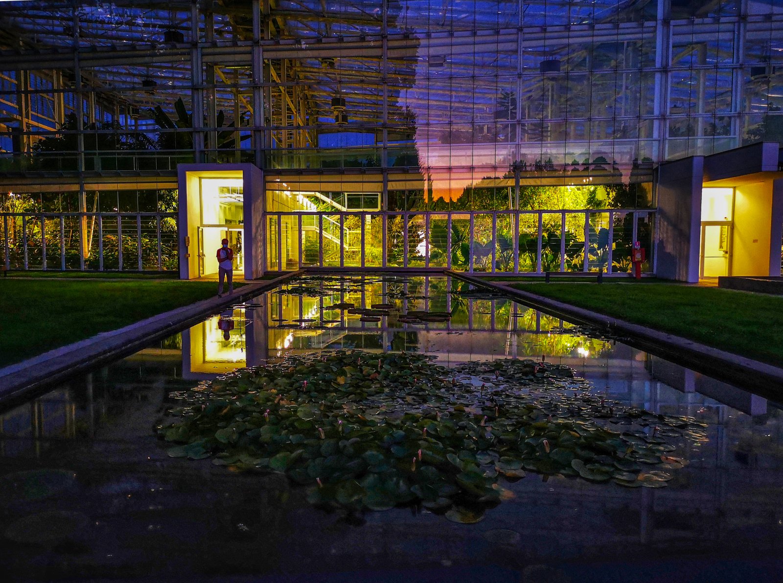 Botanical Garden of Padua - Unesco Heritage - Padova | Secret World Trip Planner
