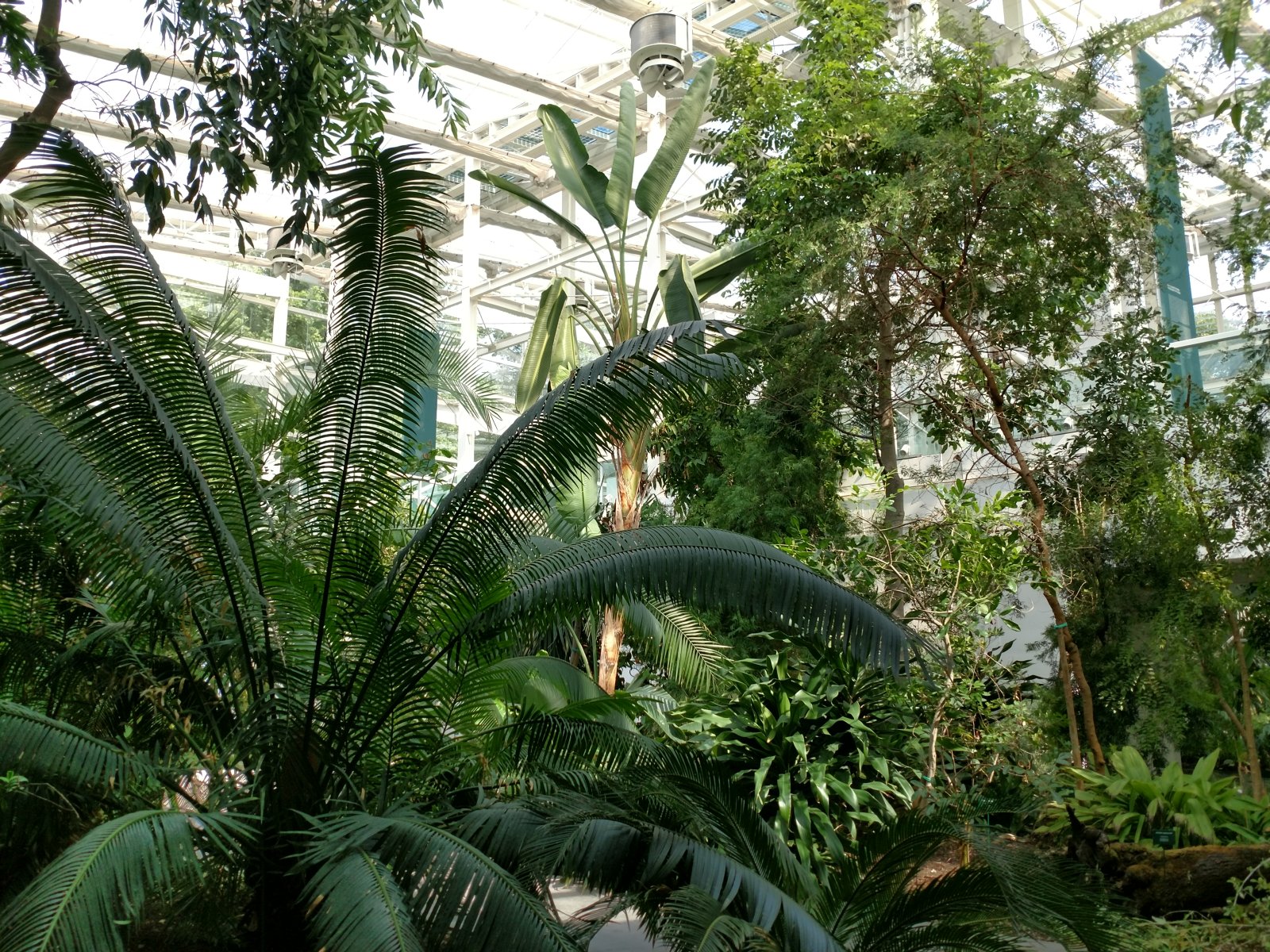 Botanical Garden of Padua - Unesco Heritage - Padova | Secret World Trip Planner