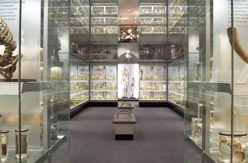 Museu Hunterian — 35-43 Lincoln's Inn Fields