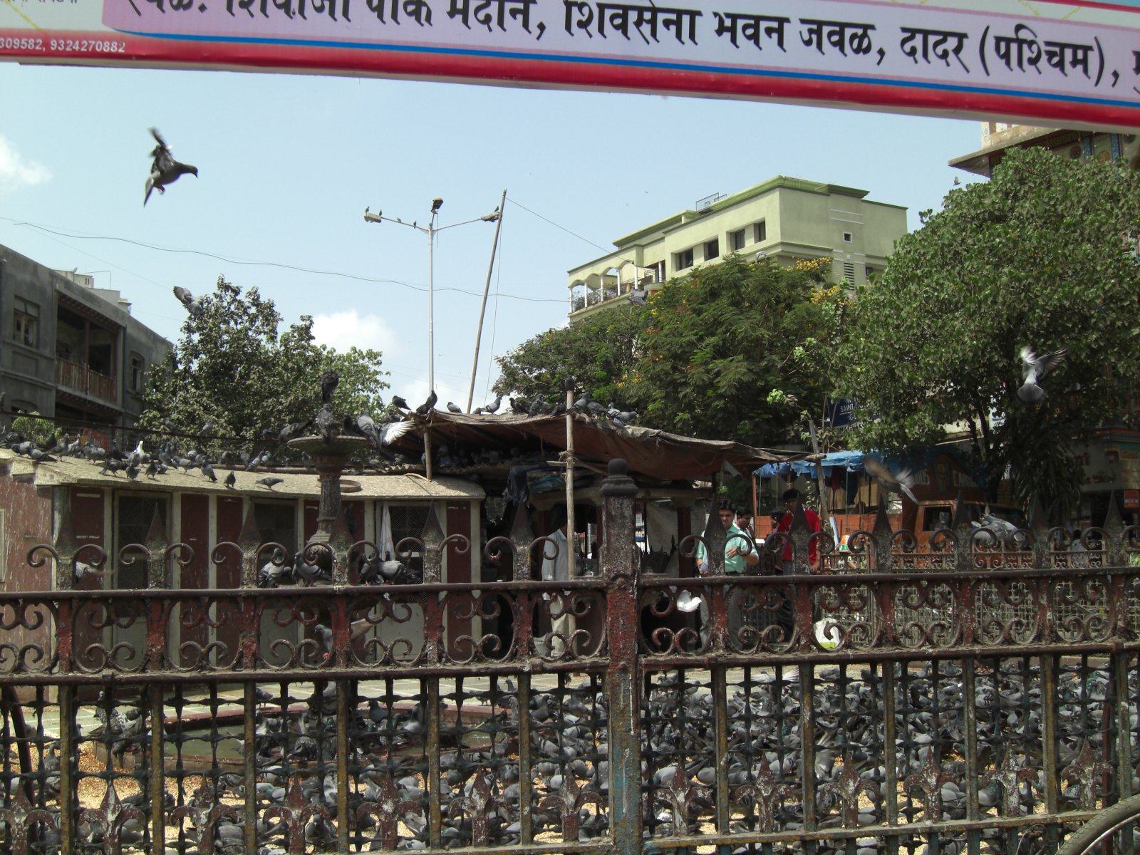Mumbai: Five Gardens in the famous Dadar-Parsi colony - Mumbai | Secret World Trip Planner