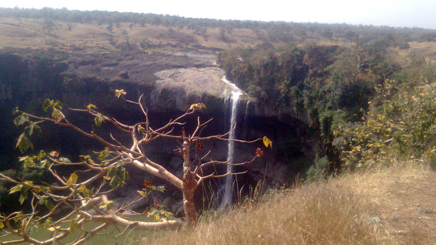 Santuario della fauna selvatica di Ralamandal — Mirjapur