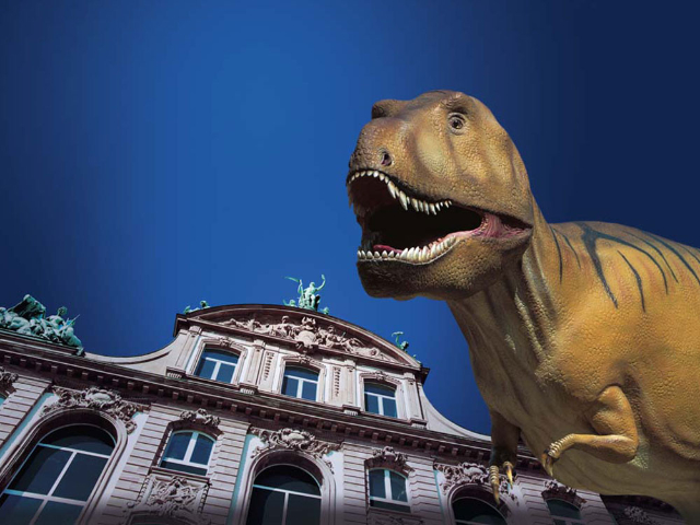 Museu de História Natural - Frankfurt am Main | Secret World Trip Planner