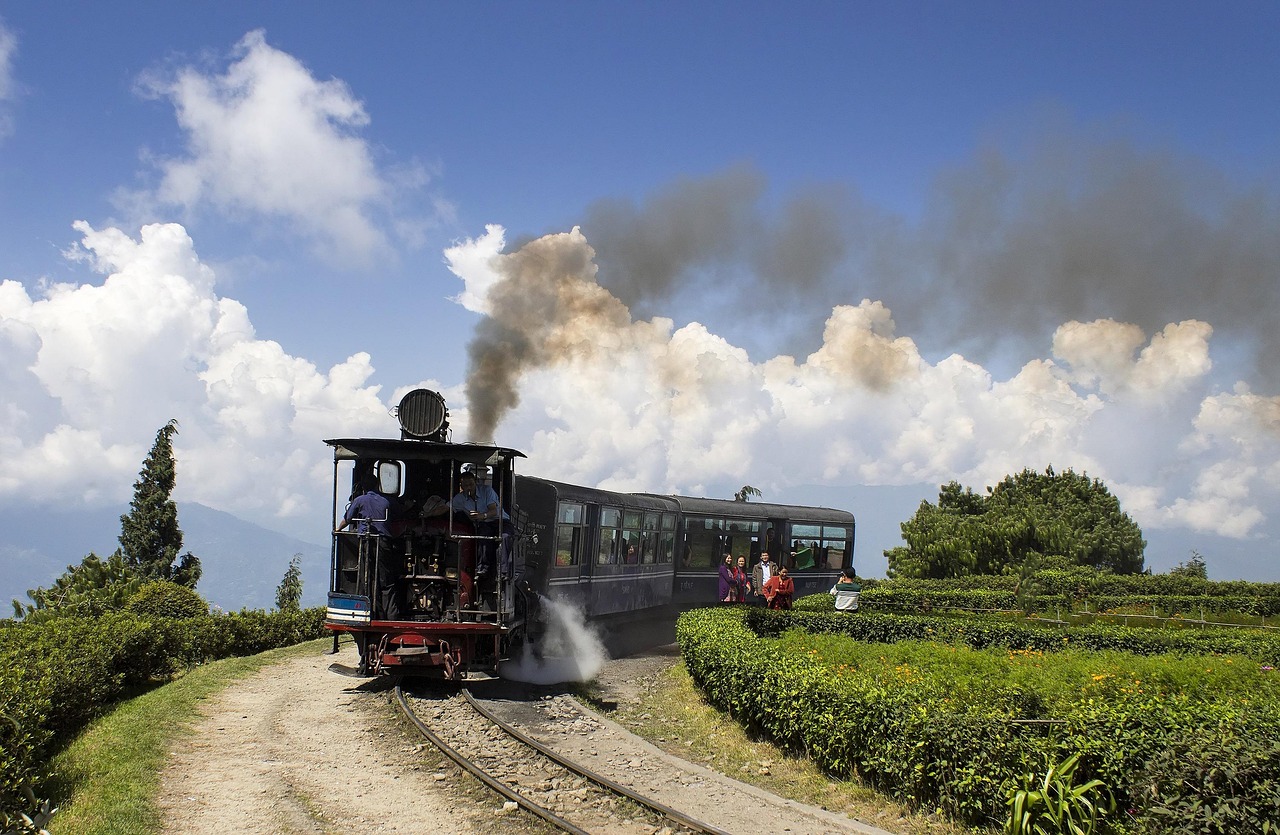 Darjeeling Tea: The Champagne of teas - Darjeeling | Secret World Trip Planner