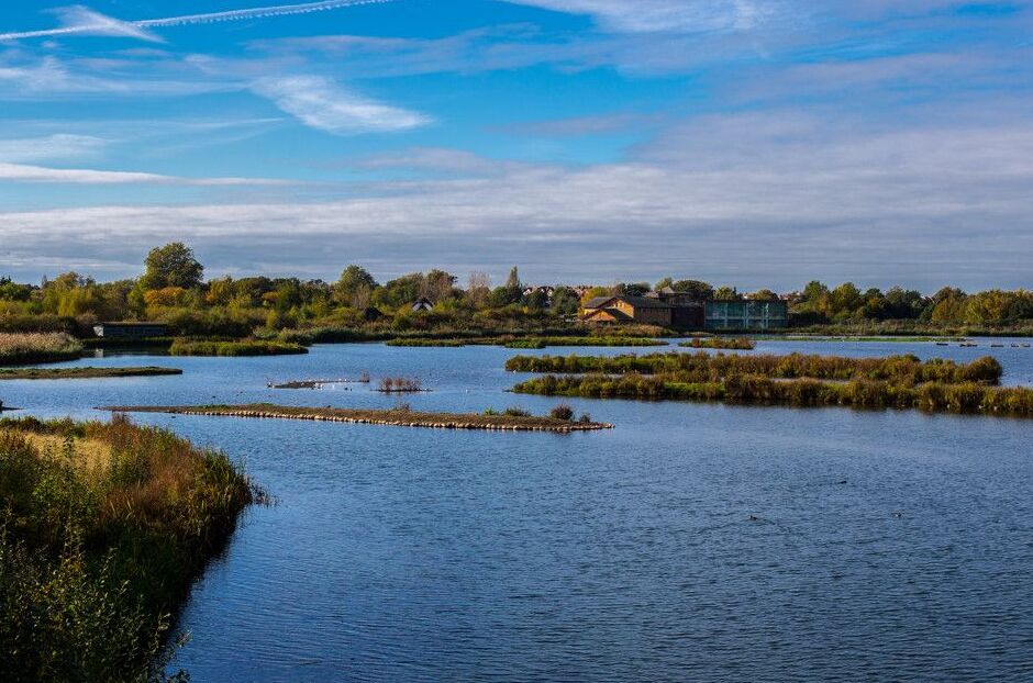 London water Center: raj dla hodowców drobiu — Londra