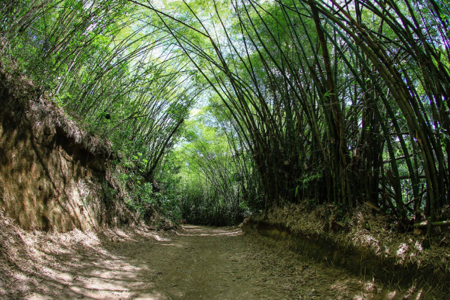 Parque Municipal de Maceió - Maceió - AL | Secret World Trip Planner