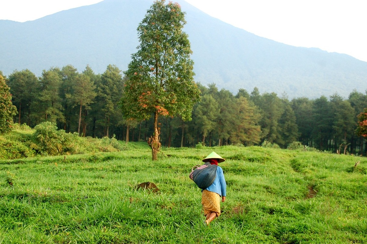Indonesia Wonders: Mount Bromo, a breathtaking place - Pasuruan | Secret World Trip Planner