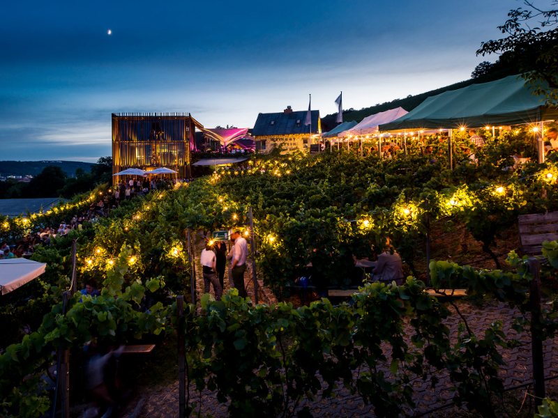Würzburski Szlak Wina - Würzburg | Secret World Trip Planner