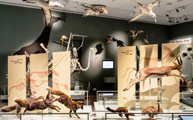 Das Steinhardt-Museum für Naturgeschichte - Tel Aviv-Yafo | Secret World Trip Planner