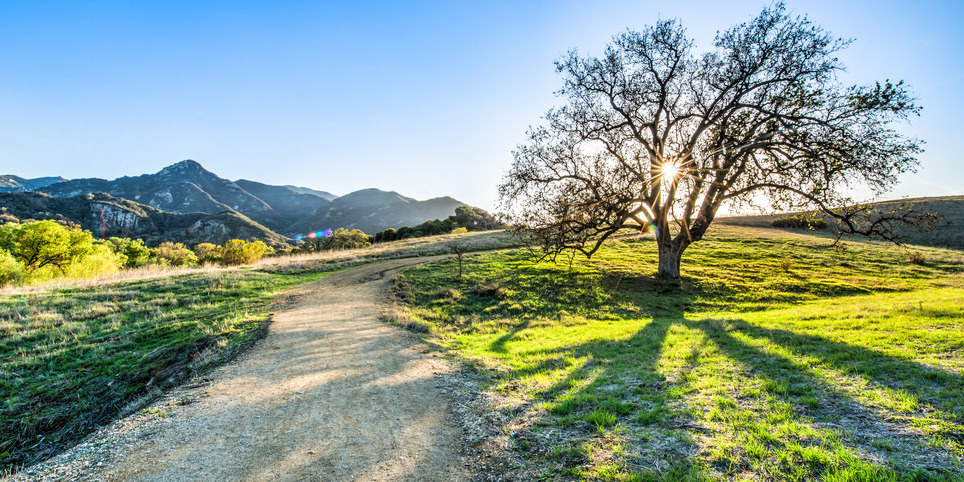 Parc d'État de Malibu Creek - Calabasas | Secret World Trip Planner
