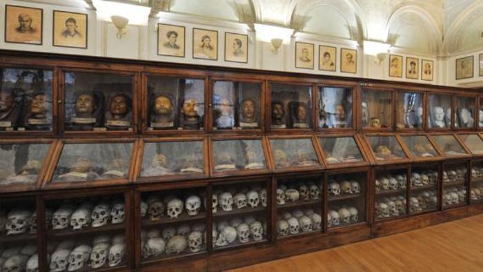 Museu Lombroso de Antropologia criminal - Torino | Secret World Trip Planner
