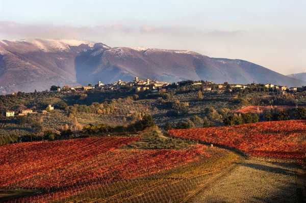 Sagrantino di Montefalco - Montefalco | Secret World Trip Planner