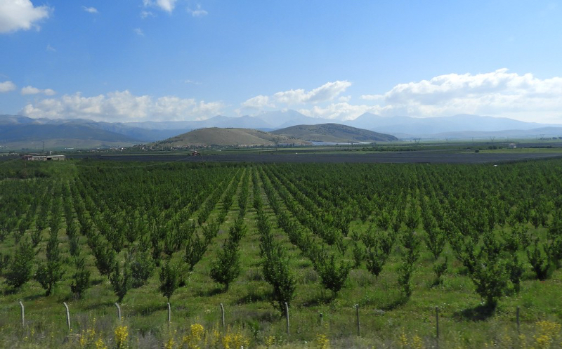 Maçãs de Peru - Isparta | Secret World Trip Planner