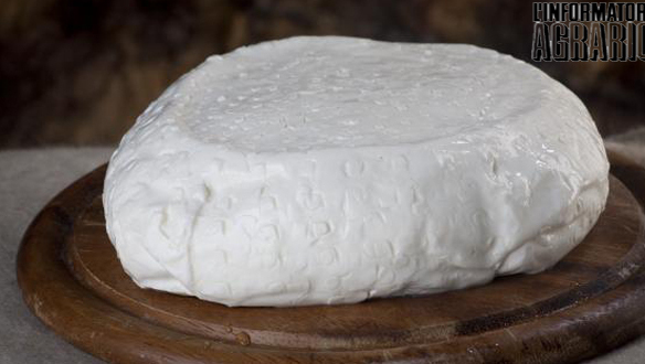 Queso Squacquerone di Romagna DOP - Rimini | Secret World Trip Planner