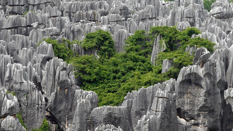 El Bosque de Piedras, una maravilla inolvidable