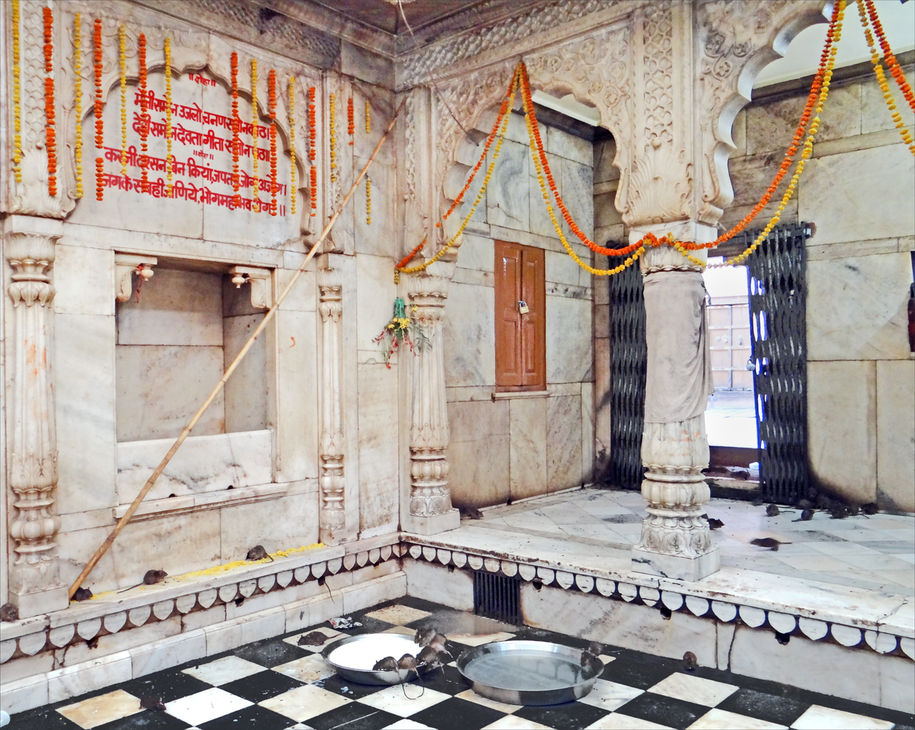 El templo Karni Mata, un templo lleno de ratones - Deshnok | Secret World Trip Planner