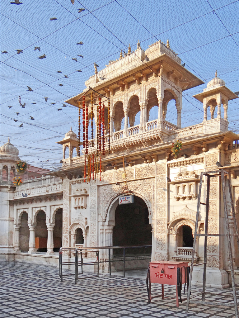 El templo Karni Mata, un templo lleno de ratones - Deshnok | Secret World Trip Planner