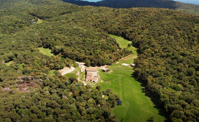 Парк дель Монтнегре - Dosrius | Secret World Trip Planner
