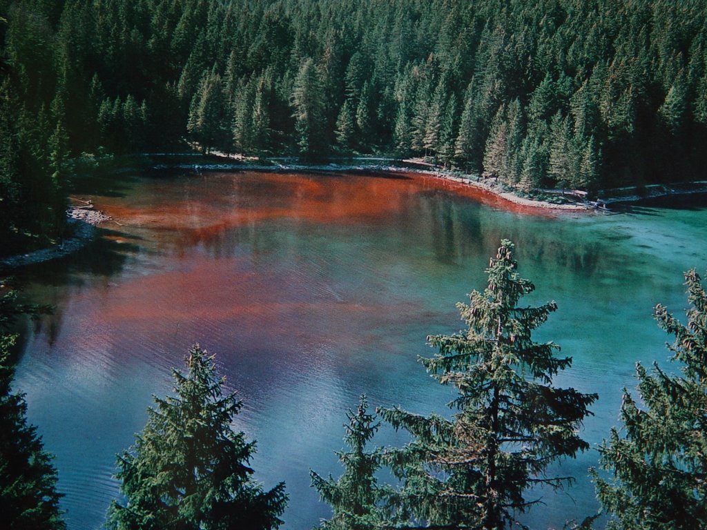 Meer van Tovel - Lago di Tovel | Secret World Trip Planner