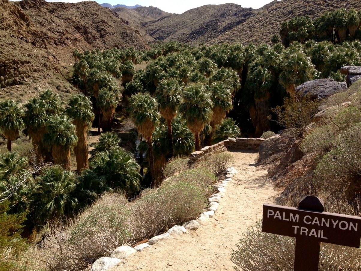 Kaniony Indyjskie — Palm Springs