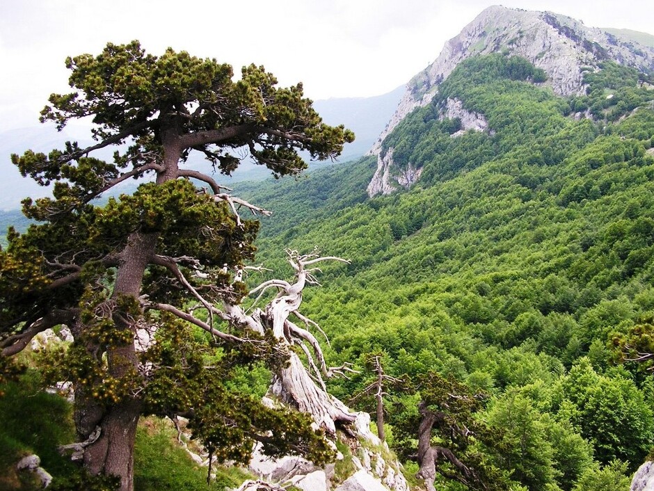 Terranova e lo spettacolare Parco Nazionale del Pollino - Terranova di Pollino | Secret World Trip Planner