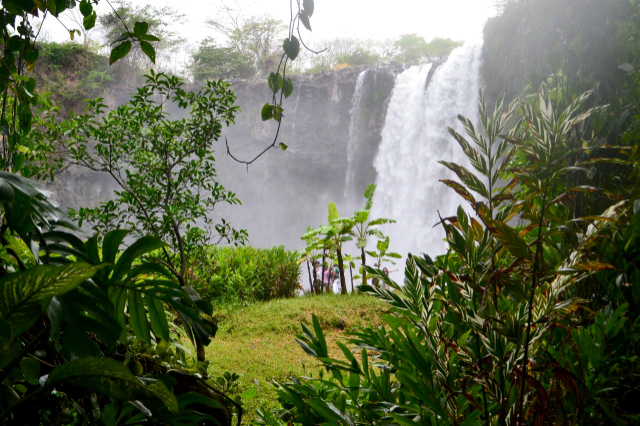 サルト・デ・エイパントラ - Eyipantla Falls | Secret World Trip Planner