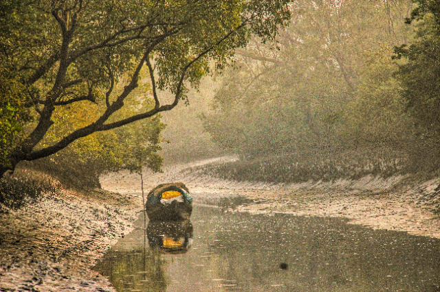 La Reserva Forestal de Sundarbans (SRF) | Secret World Trip Planner