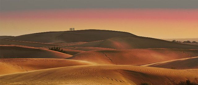 Пустыня Чолистан, - Cholistan Desert | Secret World Trip Planner