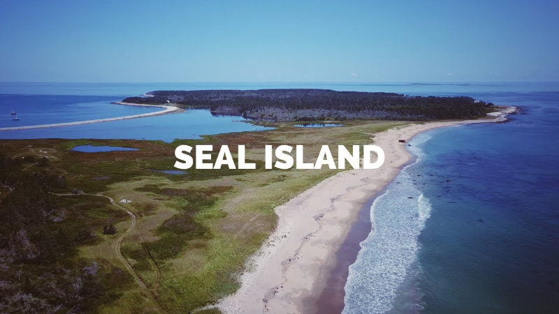 海豹岛 - Seal Island | Secret World Trip Planner