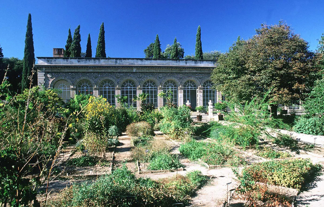 Сад растений — Montpellier