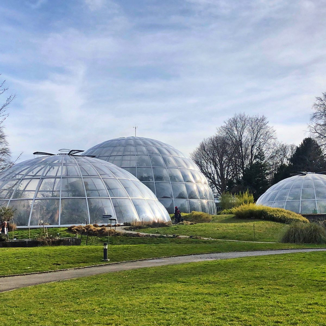 Jardín Botánico - Zürich | Secret World Trip Planner
