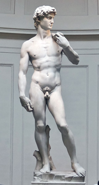 Michelangelo's David - Firenze | Secret World Trip Planner